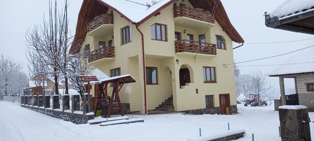 Sub Creasta Cocosului Hotel Breb Exterior photo