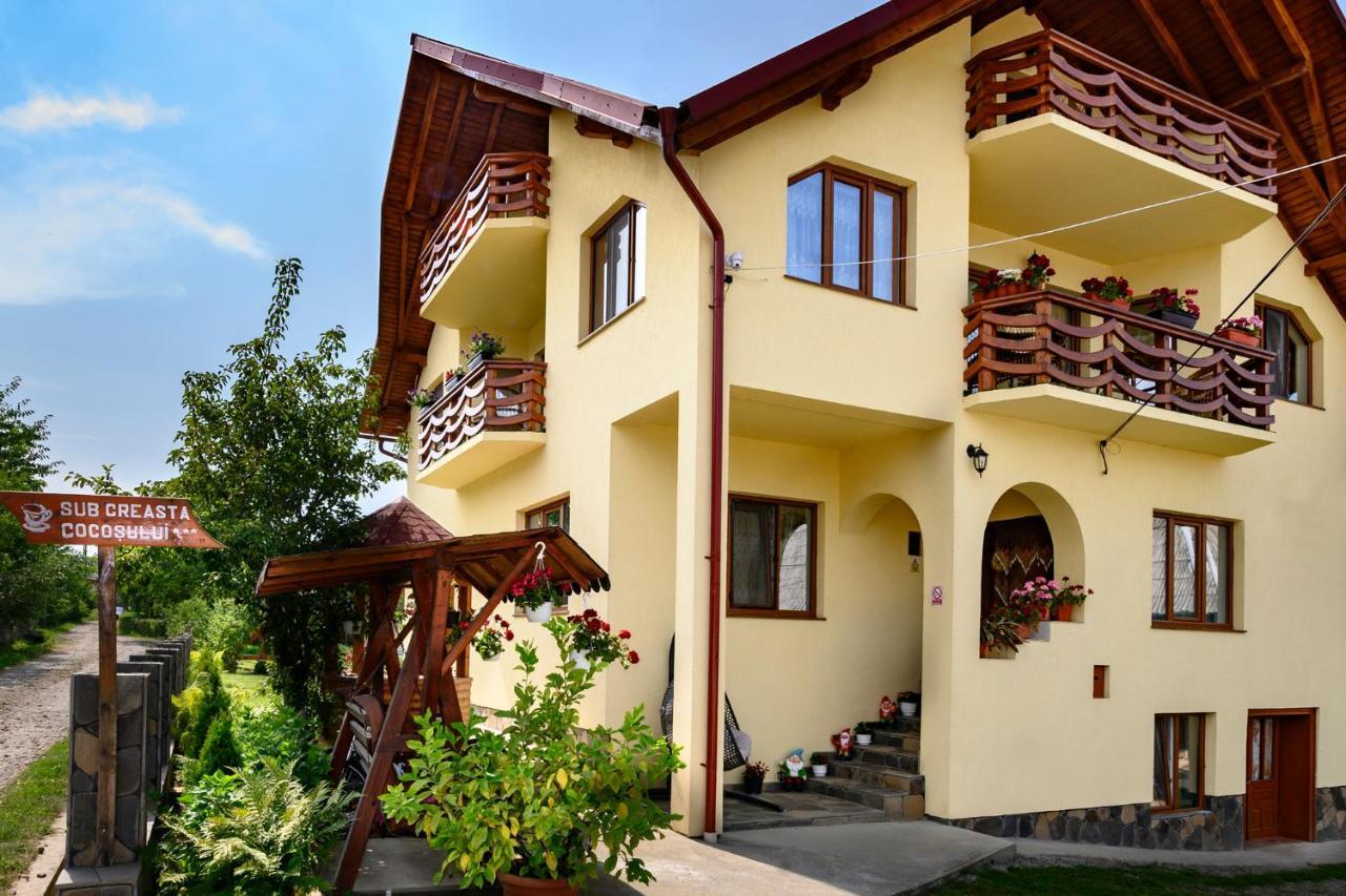 Sub Creasta Cocosului Hotel Breb Exterior photo
